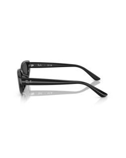 Ray-Ban RB 4457D 55 667787